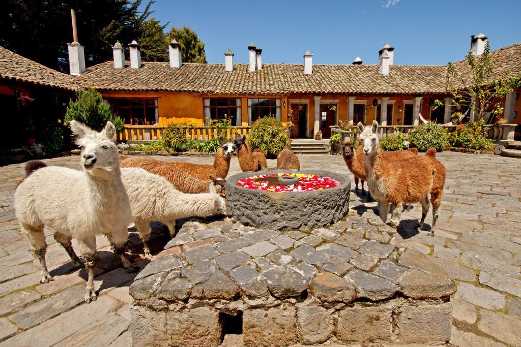 Hacienda San Agustin De Callo Lasso Extérieur photo